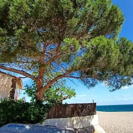 Διαμέρισμα 4 Pers. Avec Wifi, Piscine, Parking A 500m De La D'argeles - Fr-1-776-54 *