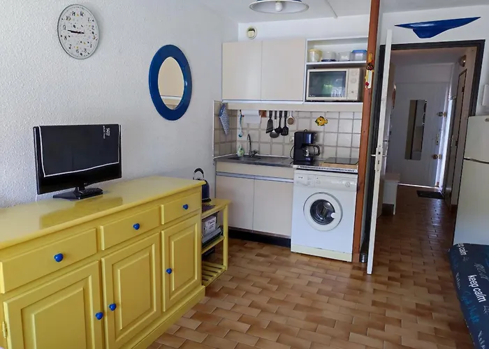דירה 4 Pers. Avec Wifi, Piscine, Parking A 500m De La D'argeles - Fr-1-776-54 ארגלס-סור-מר