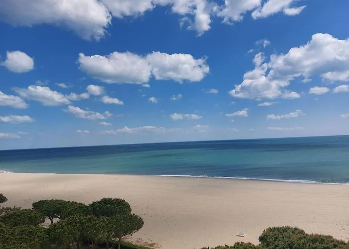 4 Pers. Avec Wifi, Piscine, Parking A 500m De La D'argeles - Fr-1-776-54 ארגלס-סור-מר