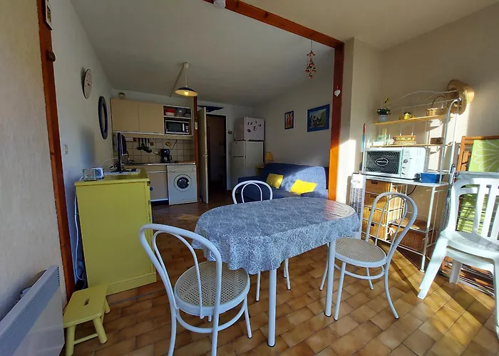 4 Pers. Avec Wifi, Piscine, Parking A 500m De La D'argeles - Fr-1-776-54 דירה ארגלס-סור-מר