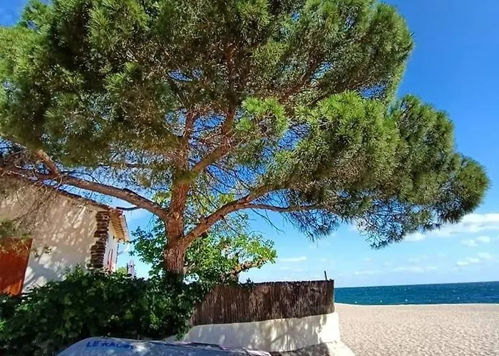 דירה 4 Pers. Avec Wifi, Piscine, Parking A 500m De La D'argeles - Fr-1-776-54 *